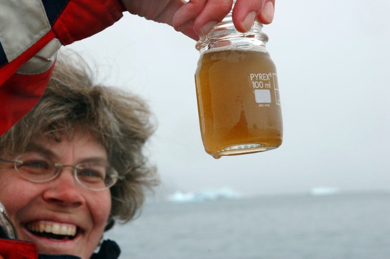 Cecilie von Quillfeldt har selv forsket på plankton på Svalbard. 